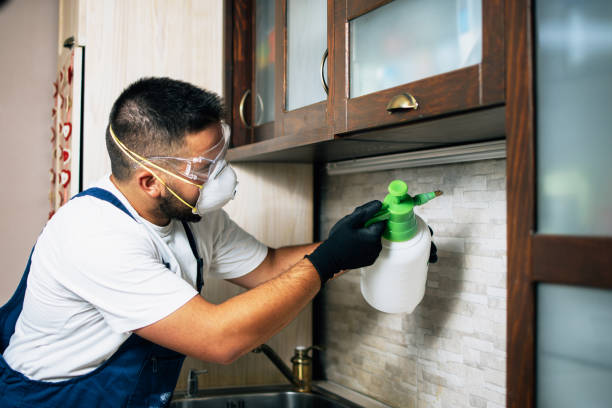 Best Pest Prevention Services  in Hidden Valley, IN