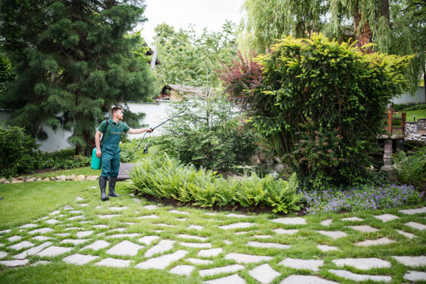 Best Local Pest Control Services  in Hidden Valley, IN