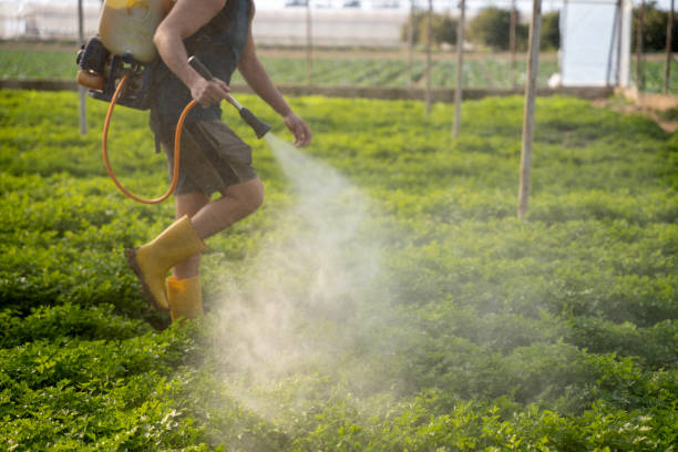 Best Mosquito Control Services  in Hidden Valley, IN
