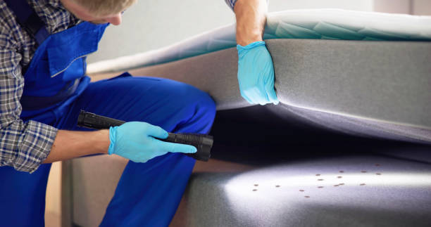 Best Pest Control Near Me  in Hidden Valley, IN