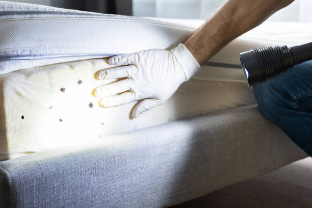 Professional Pest Control in Hidden Valley, IN