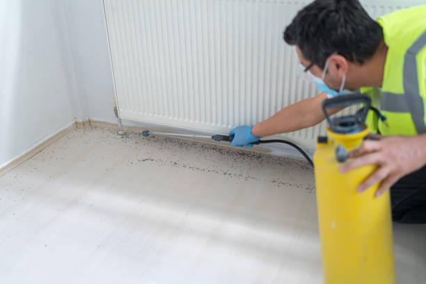 Best Insect Control  in Hidden Valley, IN